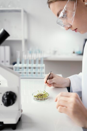 Revolutionizing Agriculture: The Impact of Precision Farming and Genetic Innovations on Crop Yield and Sustainability