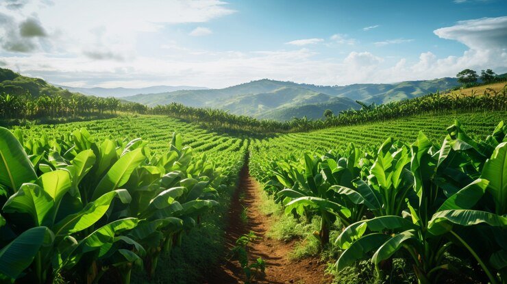 India’s Rising Role as the Future Food Bowl of the World: A Growing Global Powerhouse in Agriculture