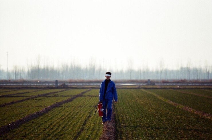 Navigating the Challenges: Future Perspectives on Agriculture