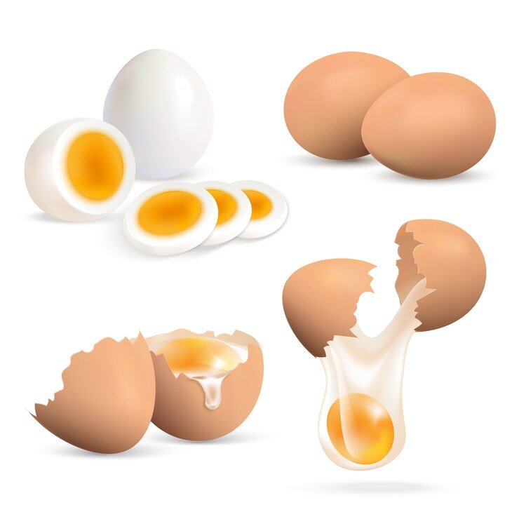 The Silver Revolution: Unveiling the Transformative Growth in the Egg and Poultry Industry