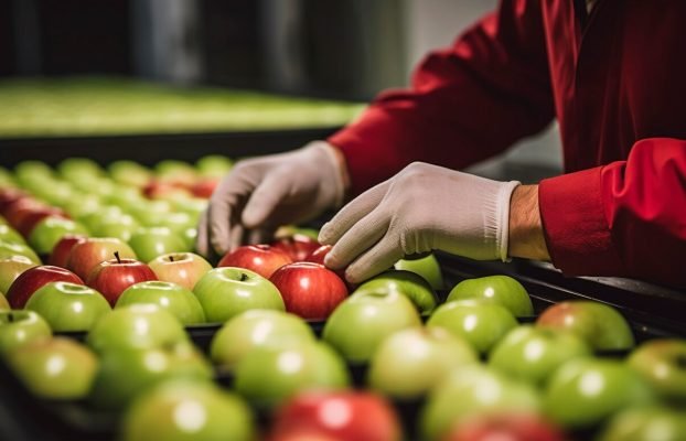 Preparing for the Unexpected: Developing Effective Contingency Plans for Agricultural Supply Chains