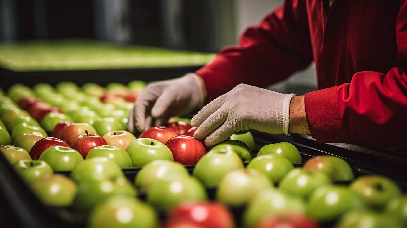 Preparing for the Unexpected: Developing Effective Contingency Plans for Agricultural Supply Chains