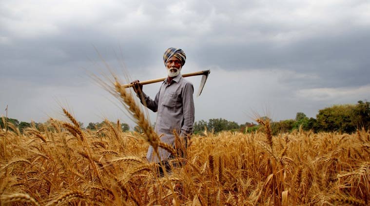 Navigating the Indian Agricultural Reform Debate: Analyzing the Farm Bills and Counterproposal