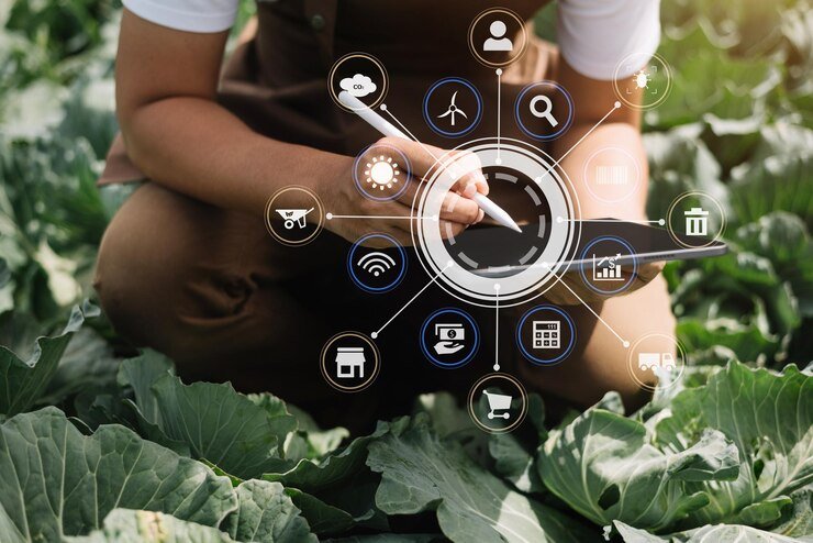 Navigating the Future: Agriculture, Sustainable Food Systems, and the Challenges Ahead
