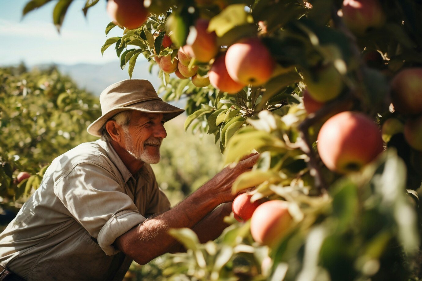 Balancing Efficiency and Resilience: Finding the Right Approach for Agricultural Supply Chains
